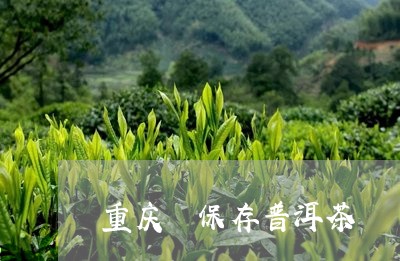 重庆 保存普洱茶/2023041091825